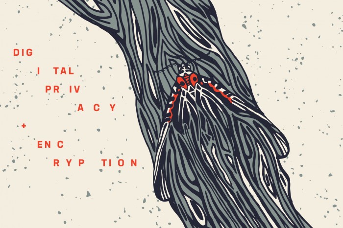 Die Gewinner des Wettbewerbs: Hide and Seek (Bild: Mariah Jochai)